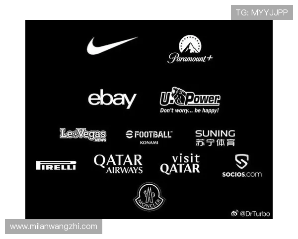 米兰官网官方合作伙伴及赞助商详细介绍