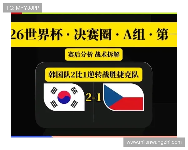 捷克与韩国队伍伤病情况最新动态,影响比赛阵容和战术安排的因素